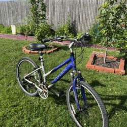 Bike - Blue Trek Navigator Bicycle & Grey Bike