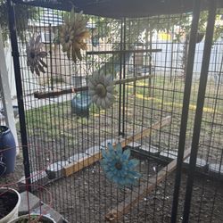 Chicken Coop
