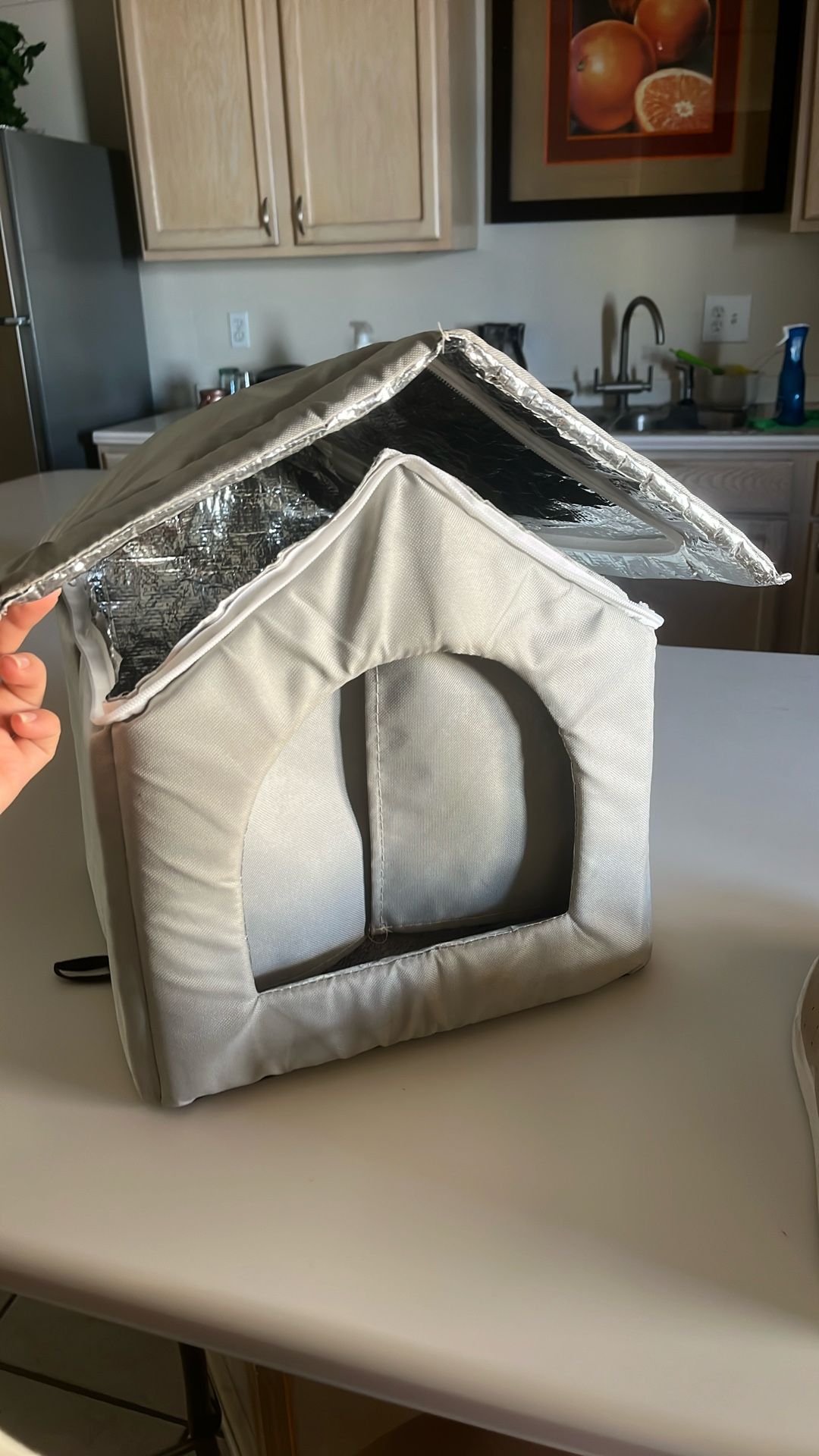 Cat/dog Mini House
