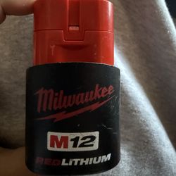 M12 battery