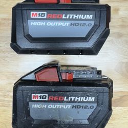 Milwaukee M18 12.0AH High Output (2-batteries)