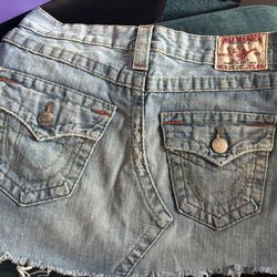 True Religion Skirt