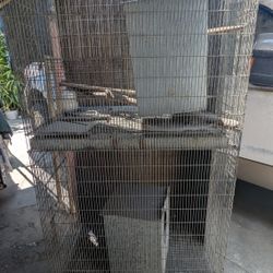 Bird Cage (Custom)