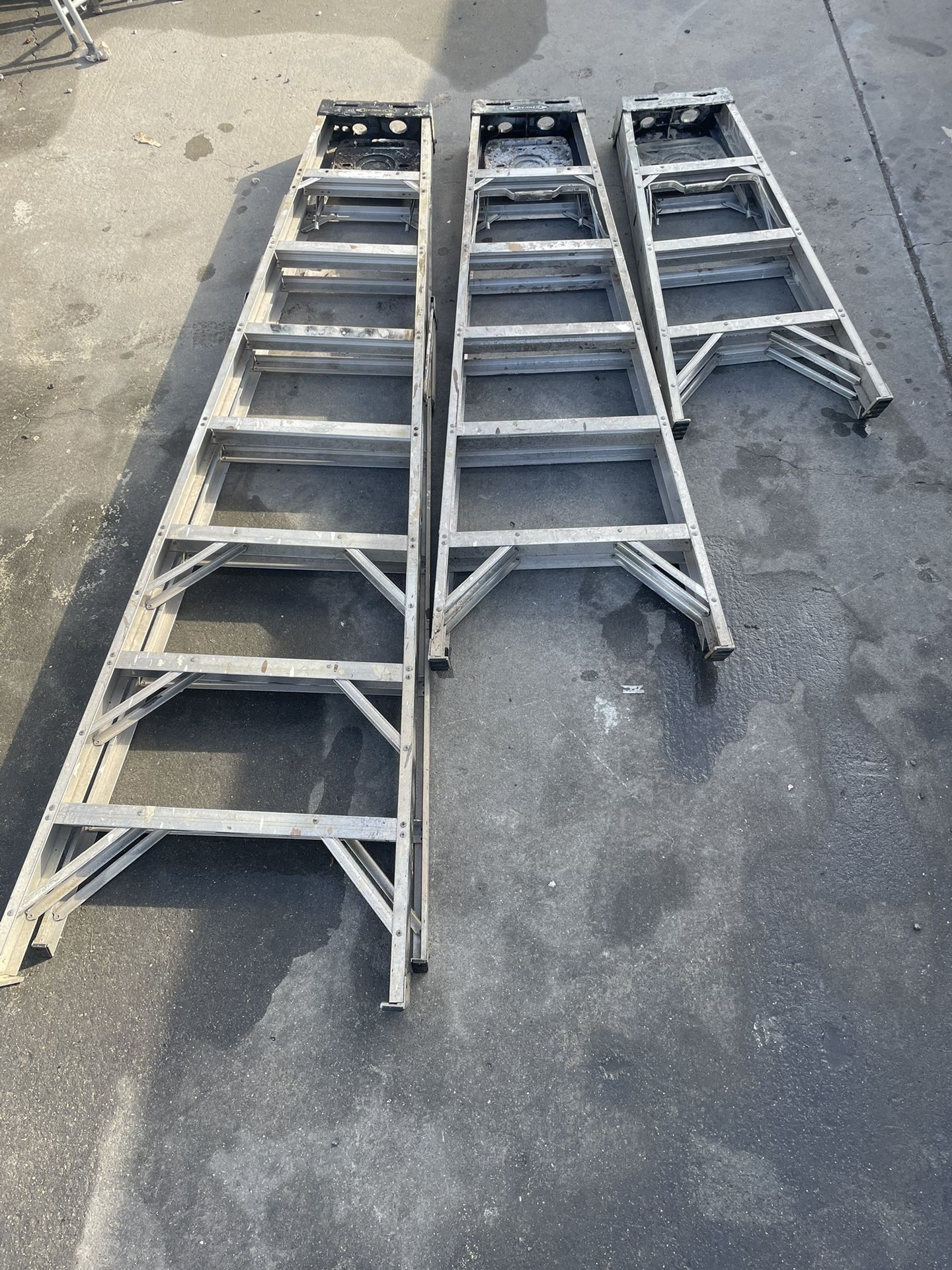 Werner Ladders 