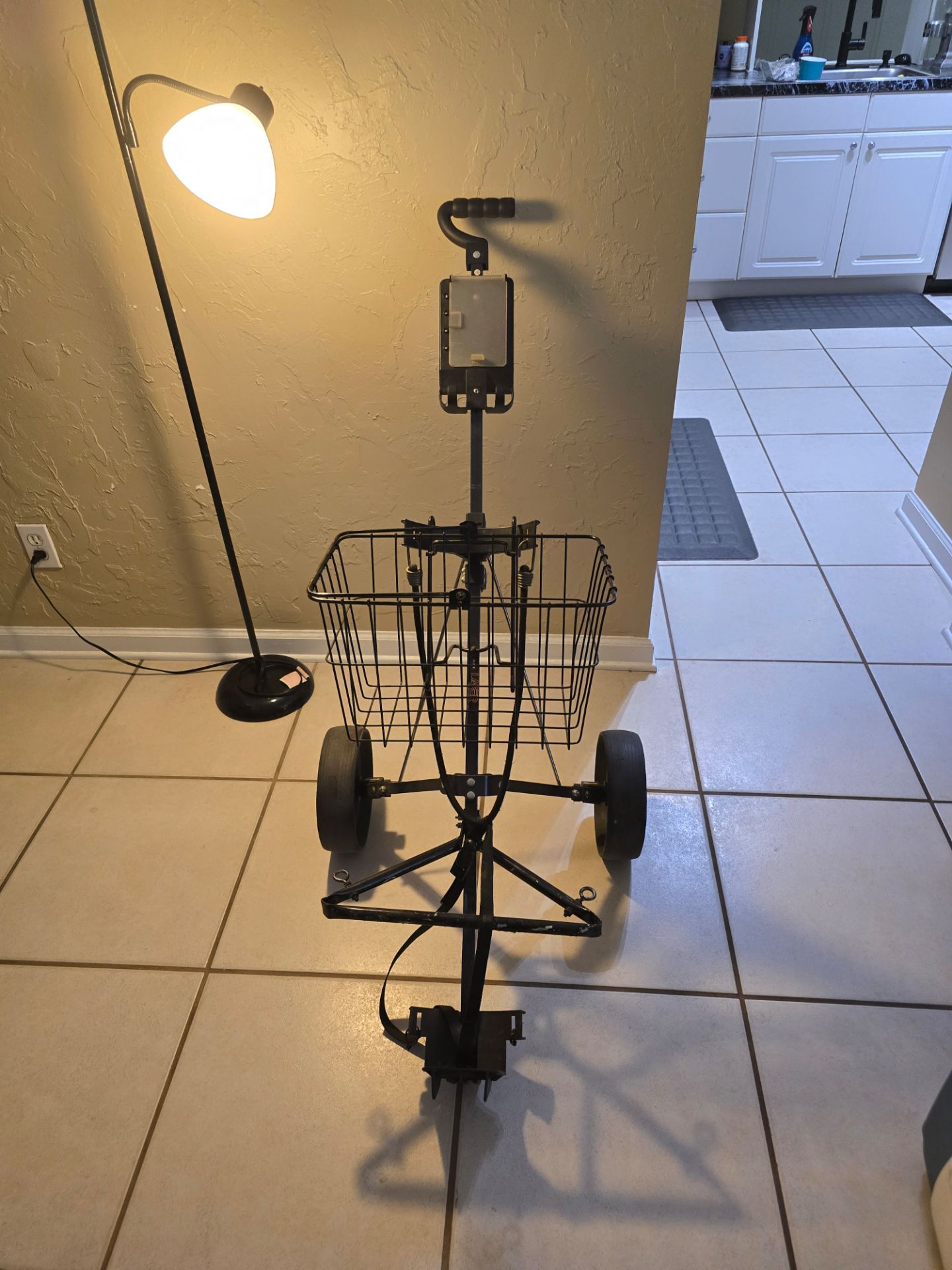 Disc golf cart with basket