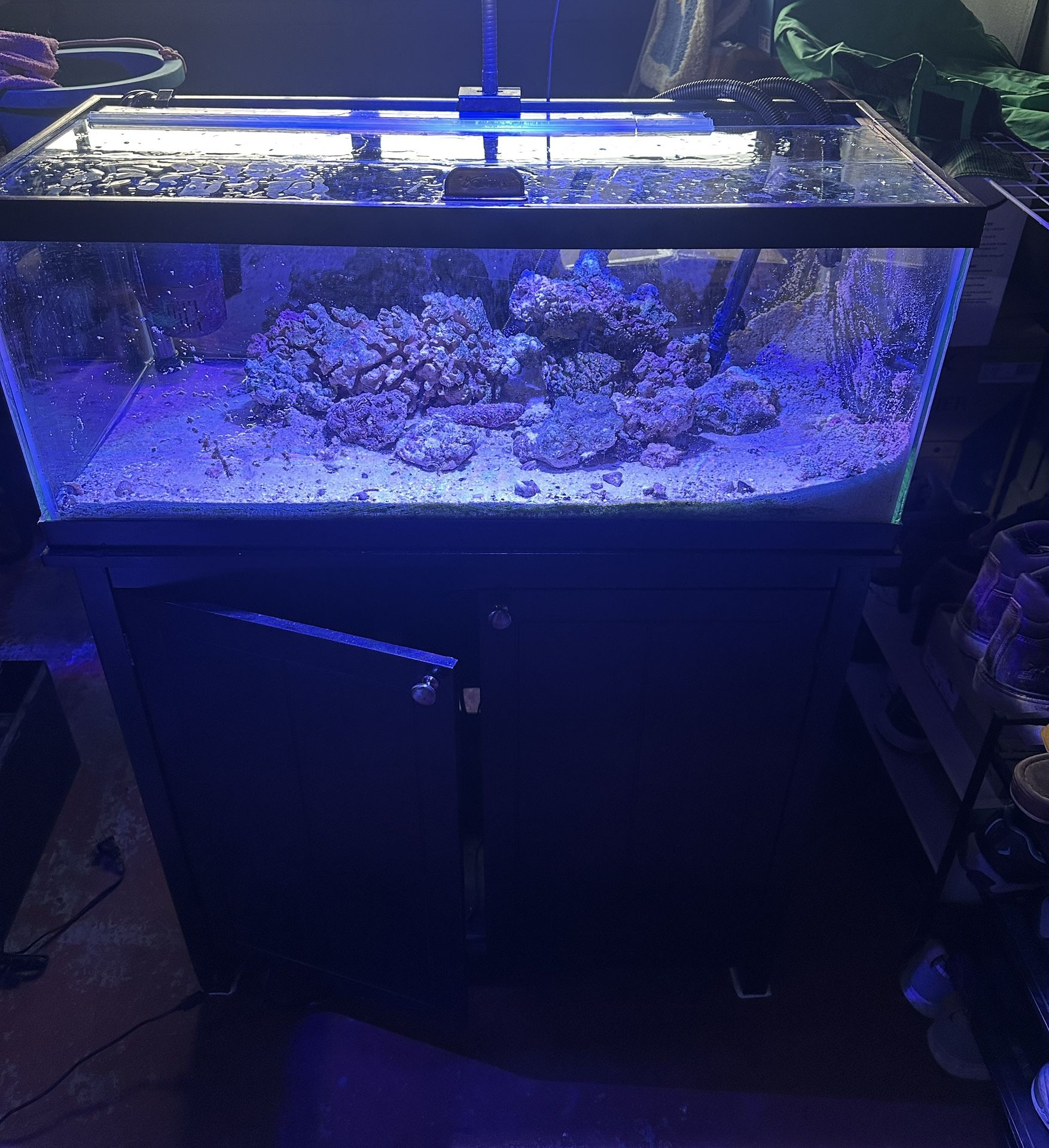 20g reef setup