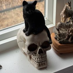 Small Black Cat On Scull Statue 