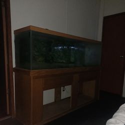 125 Gallon Fishtank