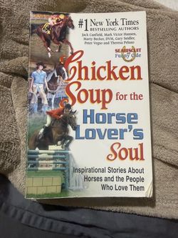 Chicken Soup for the Soul Book
