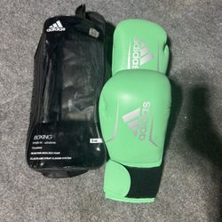 Boxing Gloves 8oz