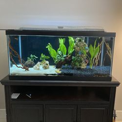 Fish Tank 40 Gallons 