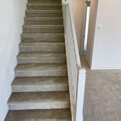 Carpet 