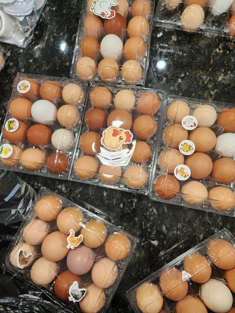 Fresh Eggs / Huevos Frescos