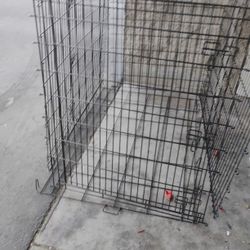 Dog Kennel🐕‍🦺🦴🐾