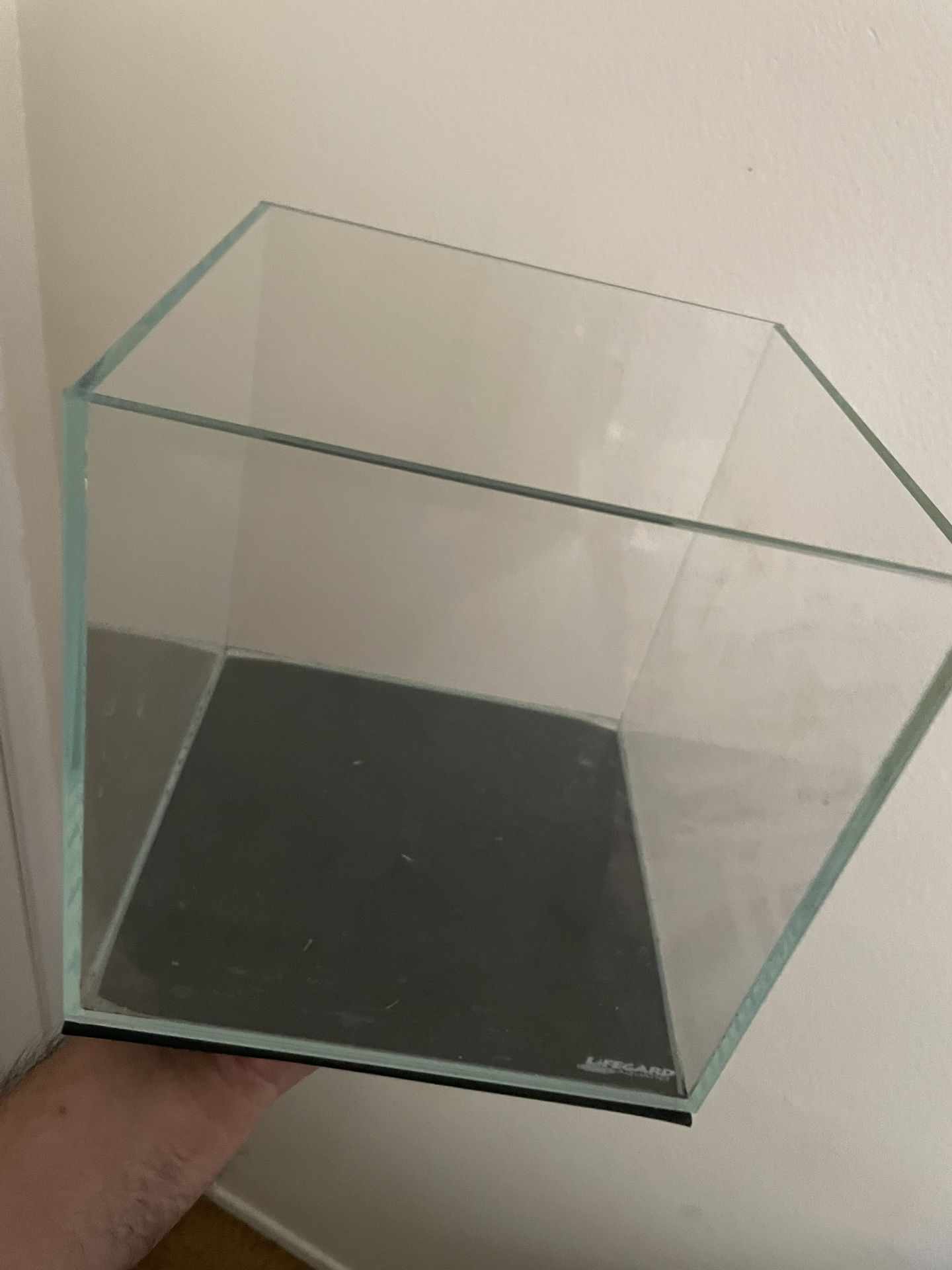 3 Gallon Fish Tank