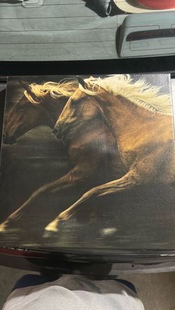 Horse Painting