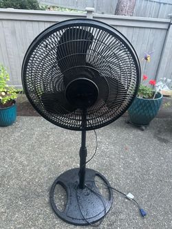 Lasko 16-inch Oscillating Pedestal Fan in black