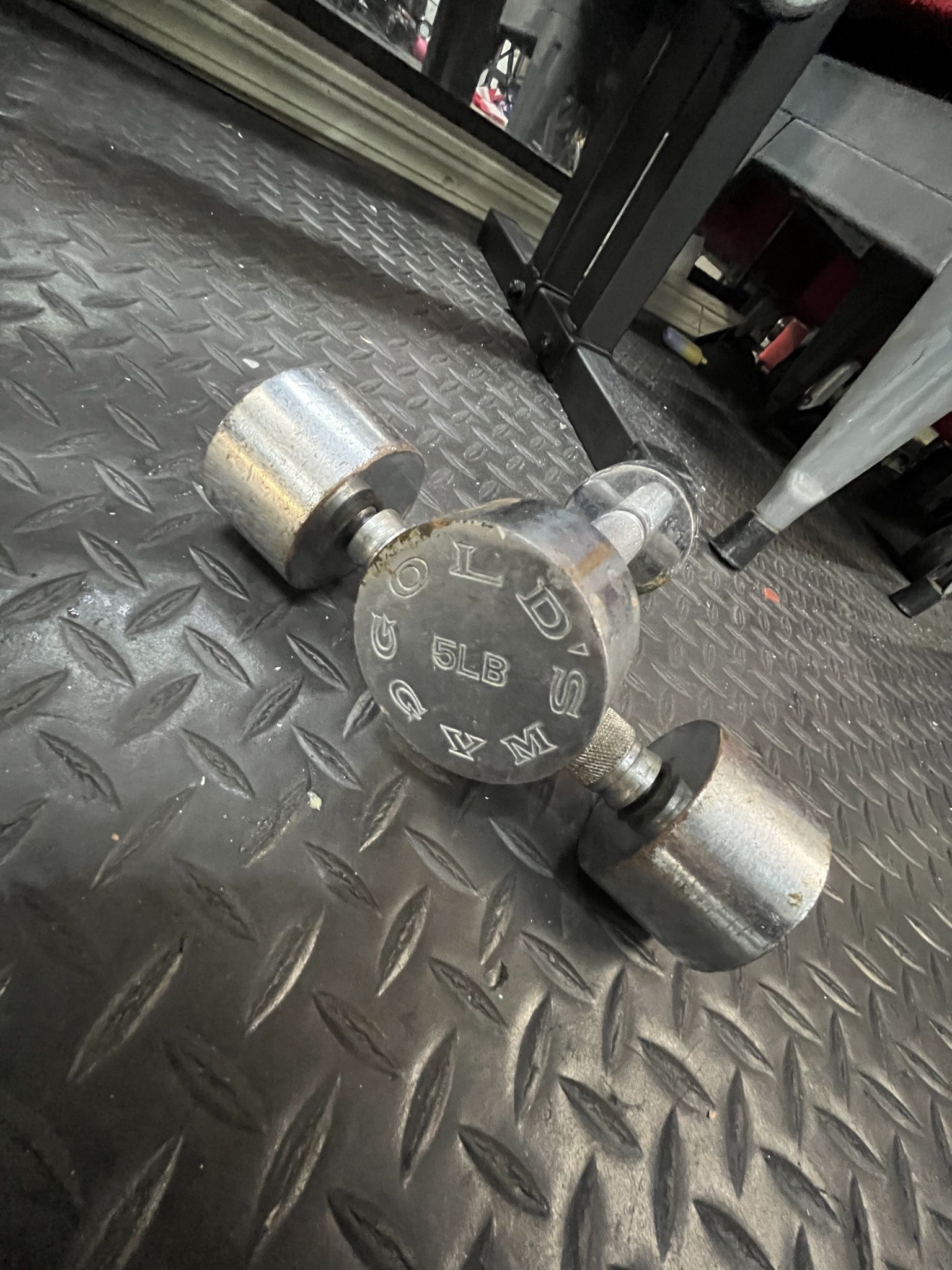 Vintage Golds Gym Dumbbells