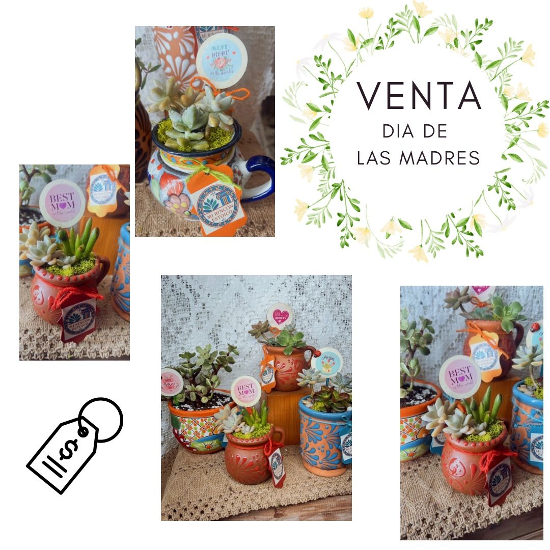 Mother’s Day Succulent Arrangements