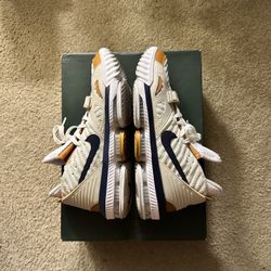 LeBron 16 Air Trainer Medicine Ball Sz 11.5