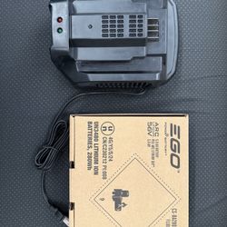 Brand new EGO 56v 5.0 Battery and Fast Charger 