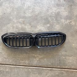 G20 Kidney Grills
