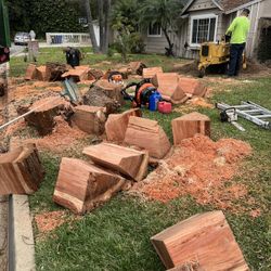 STUMP GRINDER TRIMMING@