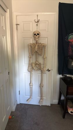 Skeleton 5’2”