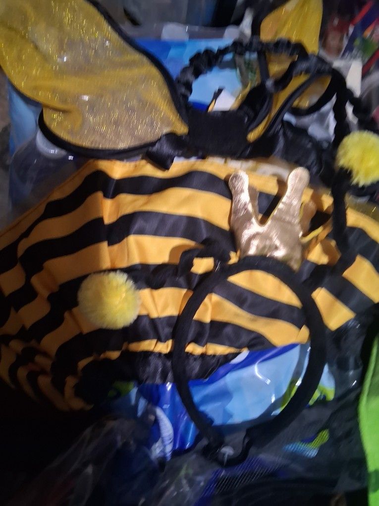 Bumble Bee Dog Coding