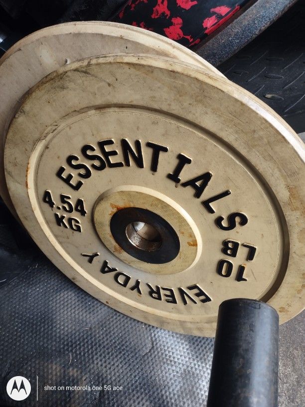 2 x 10lb Essential Olympic Bumper Plates 