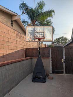 Basketball Hoop