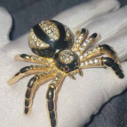 Golden Black Tarantula 