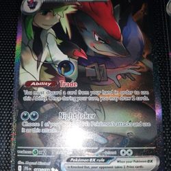 N's Zoroark SIR
