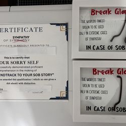 Tiny Violin Gag Gift With Certificate 