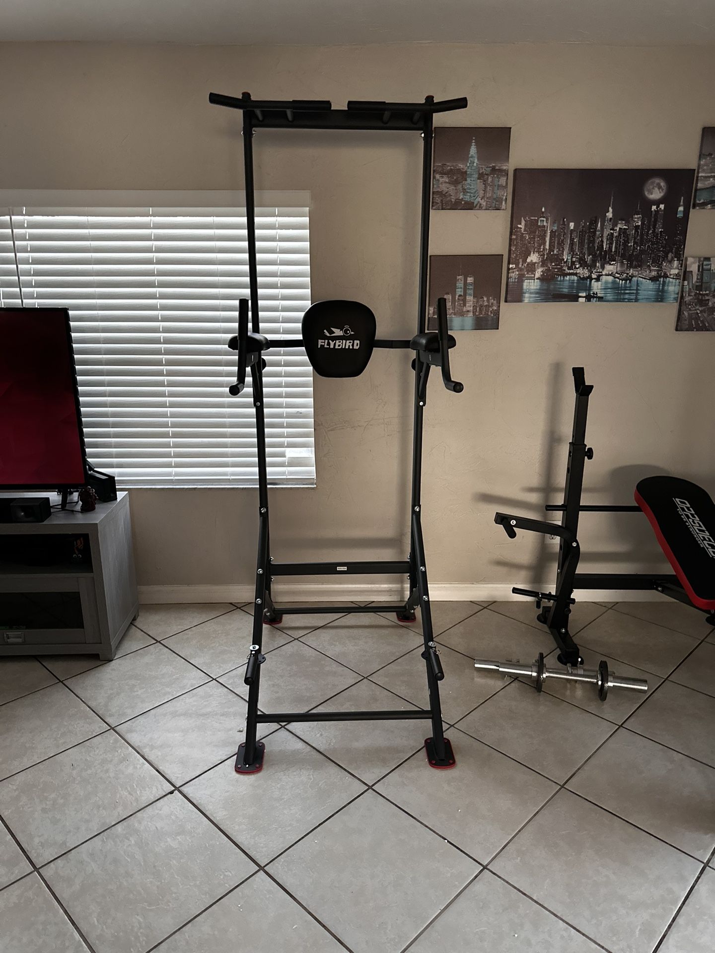 Dip Station With Pull Up