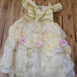Belle Beauty and the Beast costume 