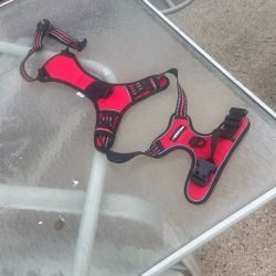 Large Dog Harness + Leash