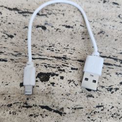 USB to Lightning iPhone, iPod, iPad Cable - 8"