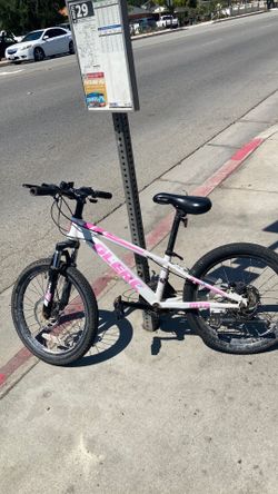Gleefully 20’ kids bike