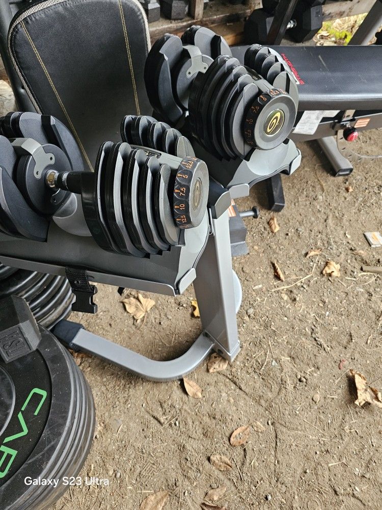 Dumbells Weights With Stand