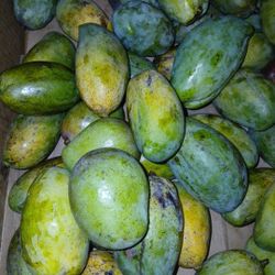 Haitian Mangoes