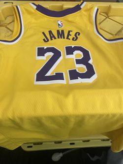 Lebron James Nike Game Jersey 