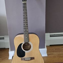 Rogue Acoustic Guitar Lefty With Gig Bag