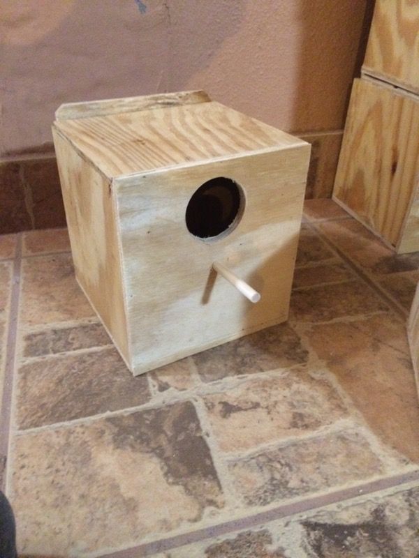 Nest box for finshes birds