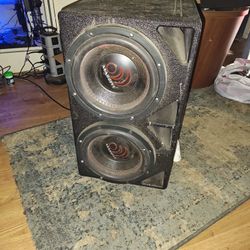 2 10" Dual Voice Coil Speakers With Box