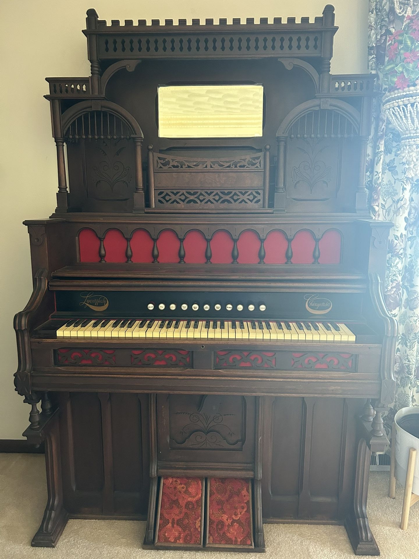 Used Organ