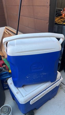 Igloo cooler for sale