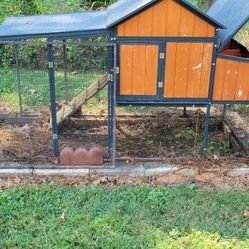 Chickens Coop