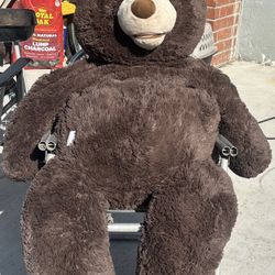 Oso En Buenas Condiciones