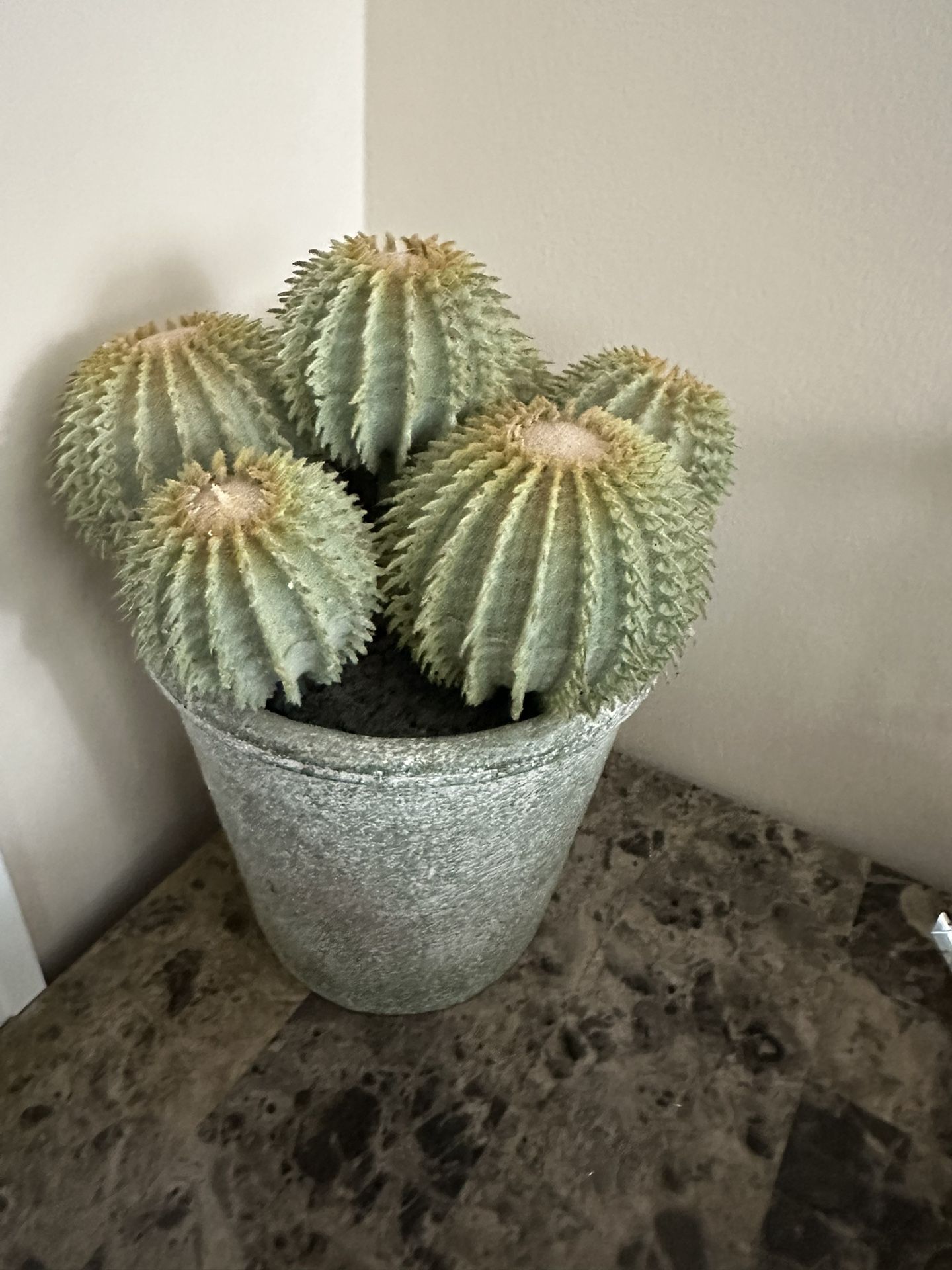 Beautiful, Fake Plant